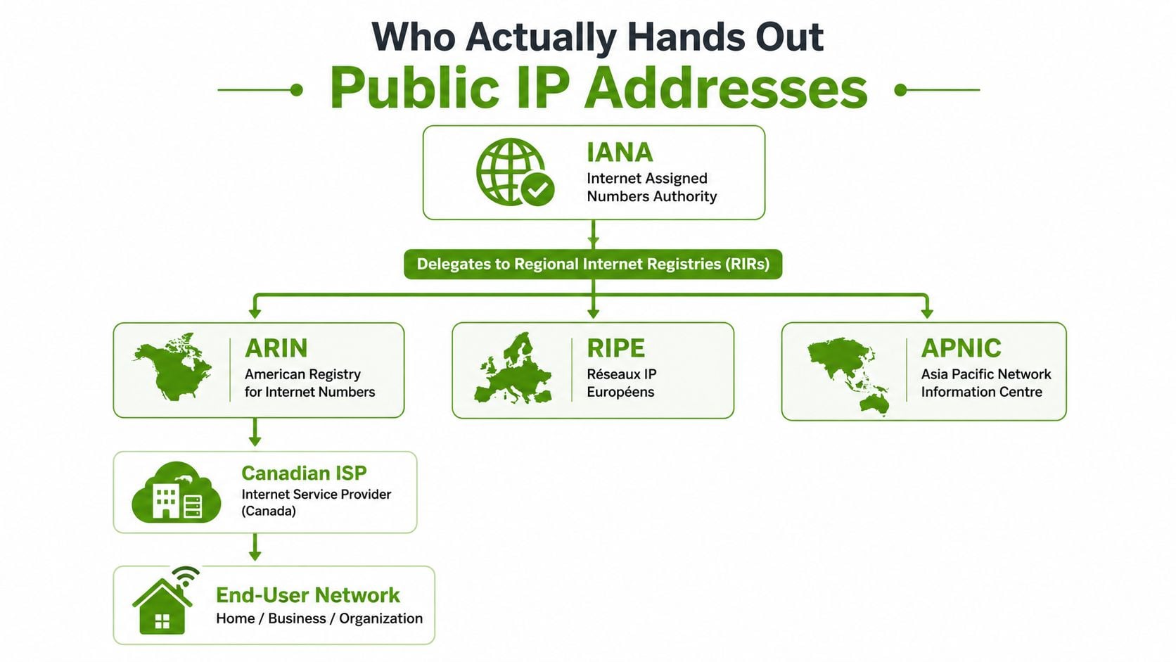 A flowchart showing the hierarchy of organizations involved in the assignment and distribution of public IP addresses.